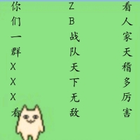 zb战队